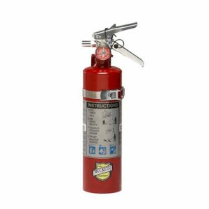 Buckeye Fire Extinguisher 2.5 lbs ABC