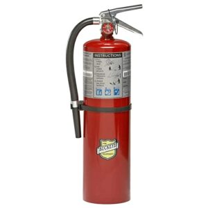 Buckeye Fire Extinguisher 10 lb ABC